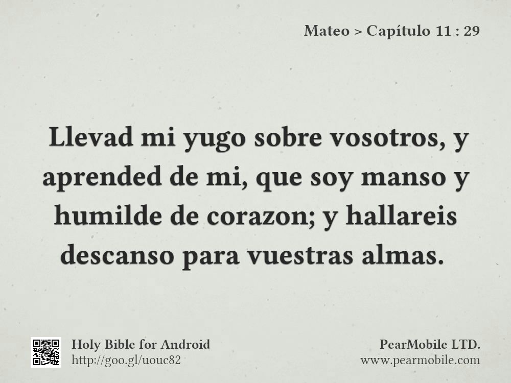 Mateo, Capítulo 11:29